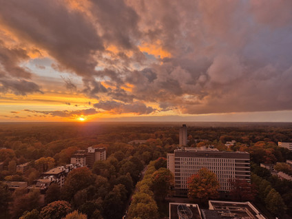 Professor De Moorplein 575