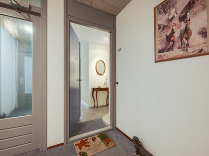 Via Verdi 255