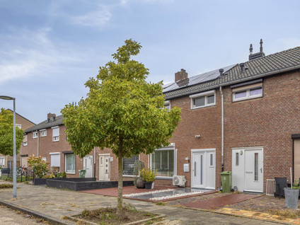 Haakbusruwe 8
