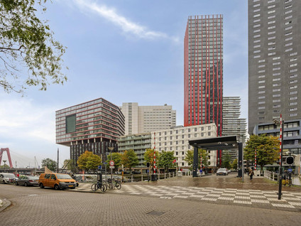 Wijnbrugstraat 230