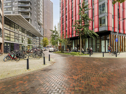 Wijnbrugstraat 230