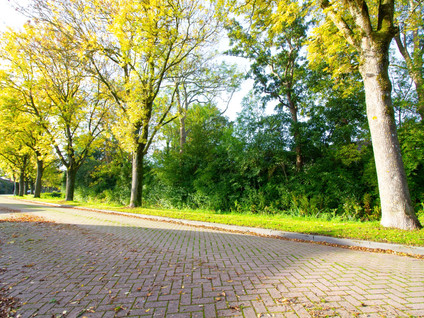 Zeger Davidzonweg 13