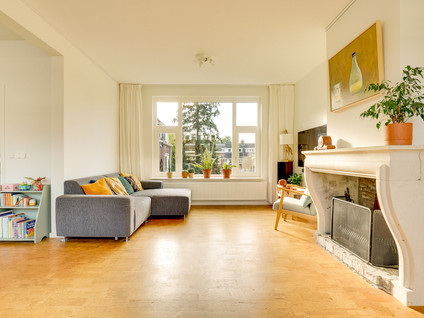 Van der Goesstraat 36BS