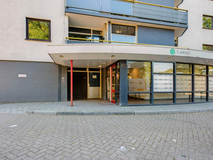 Kalmoesstraat 249