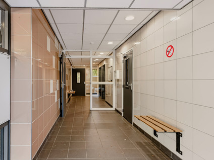 Kalmoesstraat 249