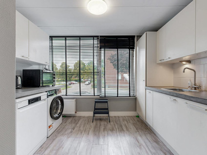 Ingen Houszstraat 79