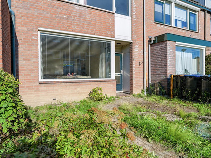 Oude Pyramide 31