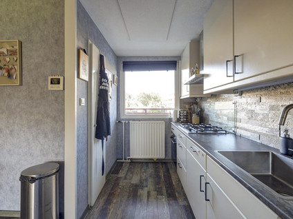 Akeleistraat 40