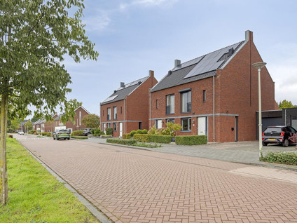 Koninginnepage 25