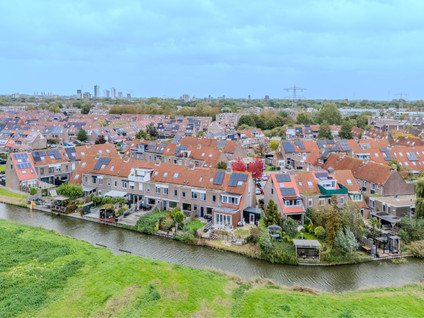Blauwgras 27