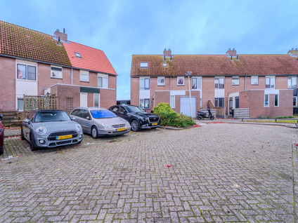 Blauwgras 27