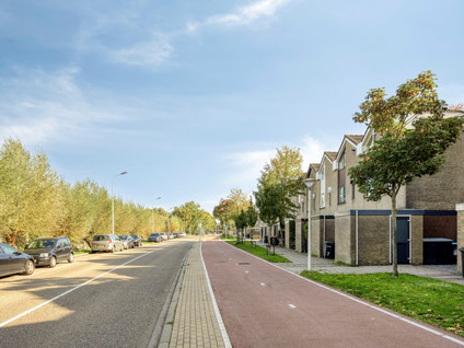 Brielse Meer 5