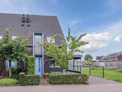 Rozemarijn 34