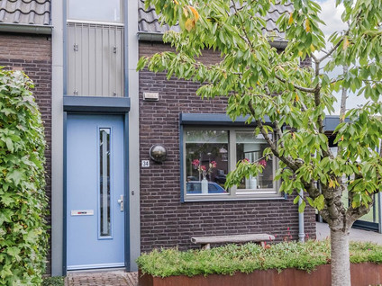 Rozemarijn 34