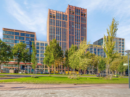 apartments for rent on Mangoweg 429