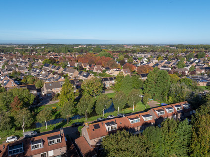 Goudplevier 31